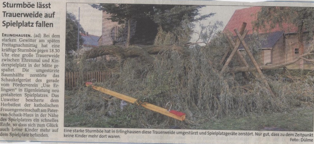 Spielplatz Trauerweide